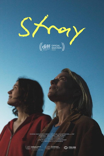 Stray movie poster