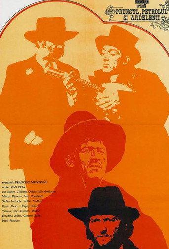 The Oil, the Baby and the Transylvanians movie poster