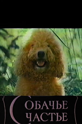Dog's Happiness movie poster