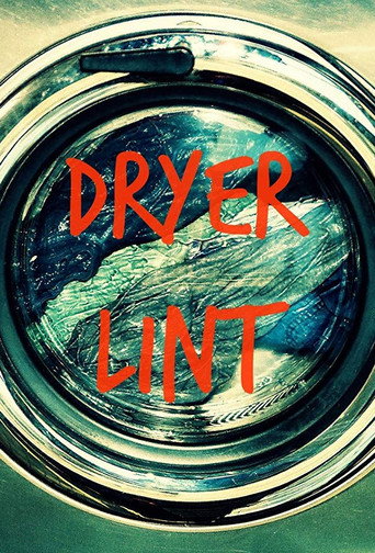 Dryer Lint movie poster