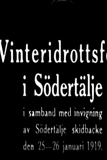 Winter Sports Party in Södertälje movie poster