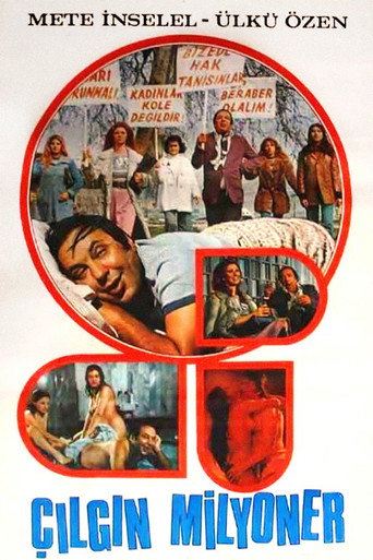 Çılgın Milyoner movie poster