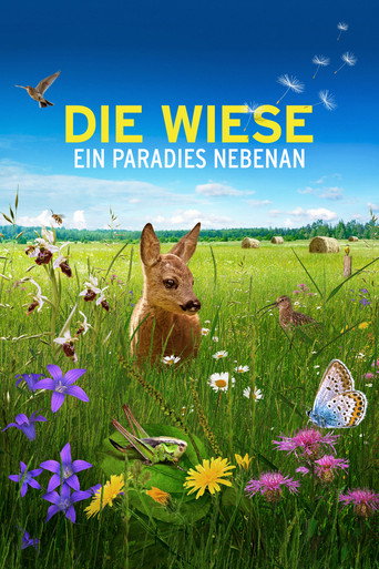 Die Wiese: Ein Paradies nebenan movie poster