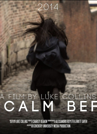 The Calm Before movie poster