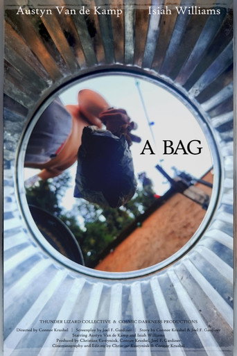 A Bag movie poster