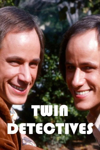 Twin Detectives movie poster