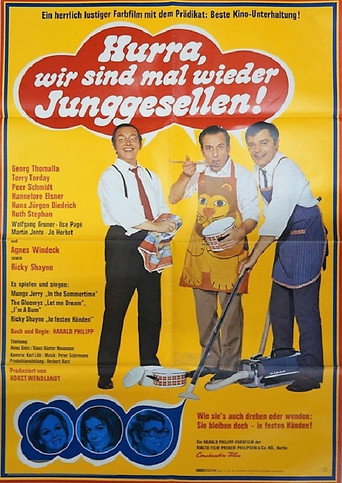 Hurra, wir sind mal wieder Junggesellen! movie poster