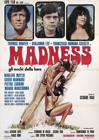 Madness movie poster