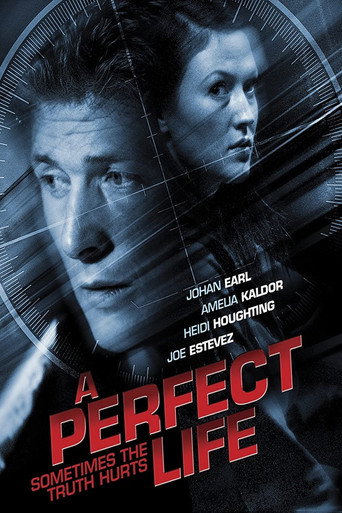 A Perfect Life movie poster