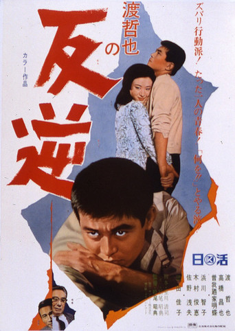 The Debt of Blood movie poster