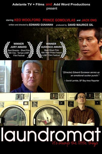 Laundromat movie poster
