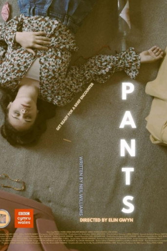 Pants movie poster