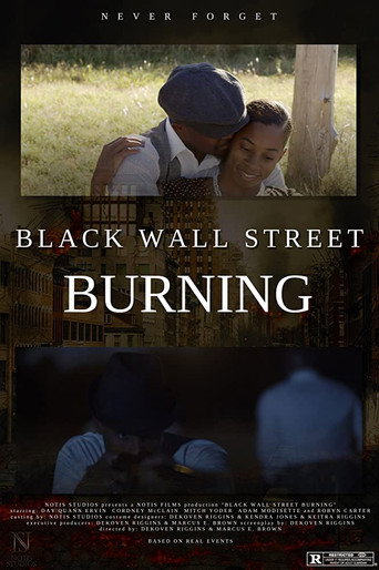 Black Wall Street Burning movie poster