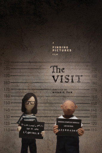 The Visit movie poster
