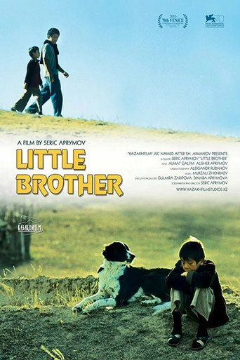 Little Brother movie poster