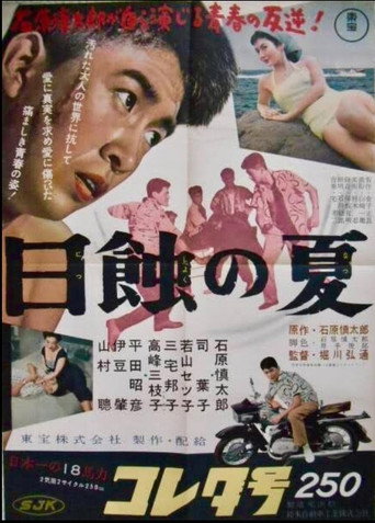 Summer in Eclipse movie poster