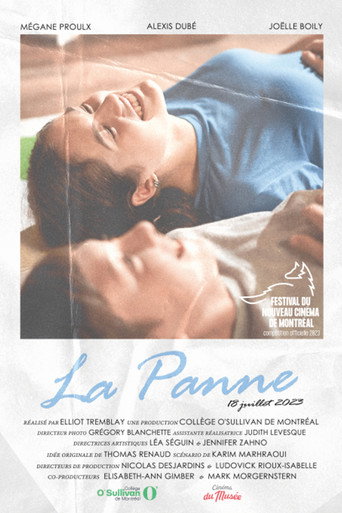 La panne movie poster