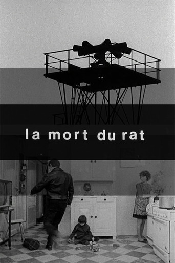 Death of the Rat movie poster