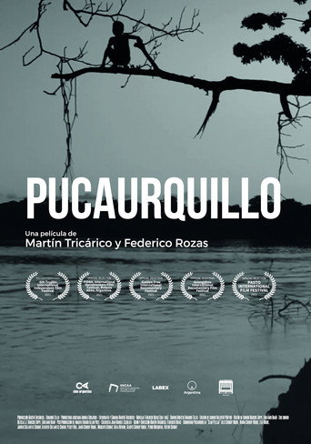 Pucaurquillo movie poster