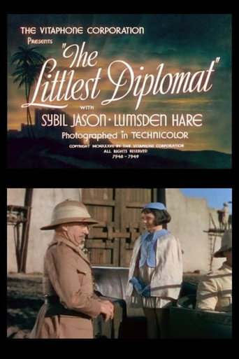 The Littlest Diplomat movie poster