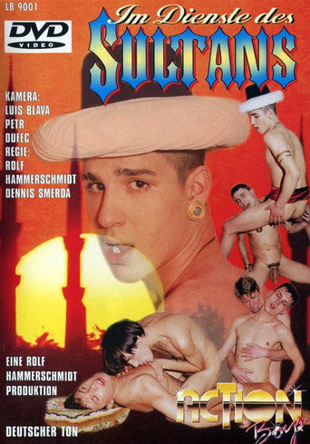1001 Horny Nights 2 movie poster