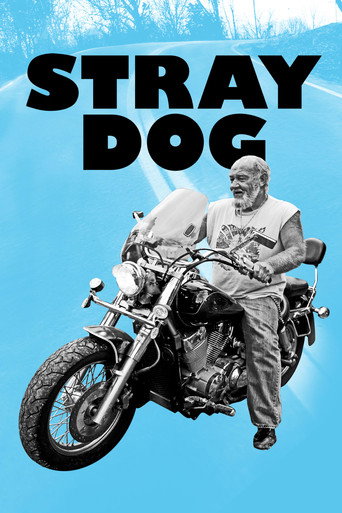 Stray Dog movie poster