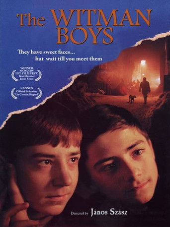 The Witman Boys movie poster