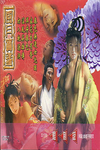 风月宝鉴之初入桃源洞 movie poster