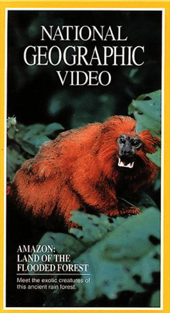 Amazon: Land of the Flooded Forest movie poster