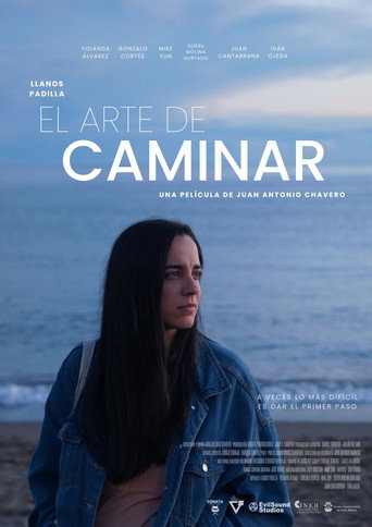 El arte de caminar movie poster