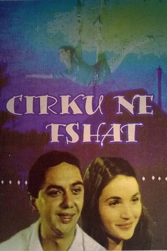 Circus in the Village movie poster