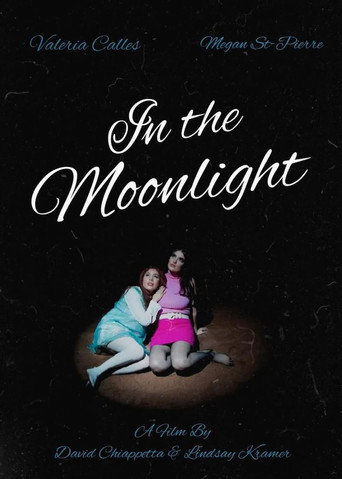 in the moonlight movie poster
