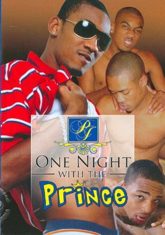 One Night with the Prince movie poster