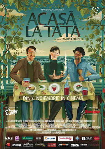 Back Home movie poster