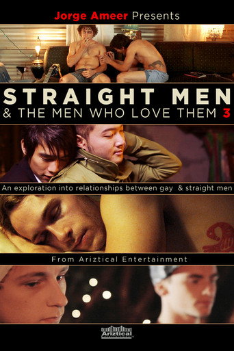 Straight Men & the Men Who Love Them 3 movie poster