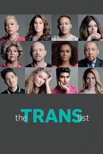 The Trans List movie poster