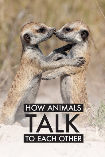 How Animals Talk To Each Other movie poster
