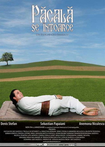 Păcală se întoarce movie poster