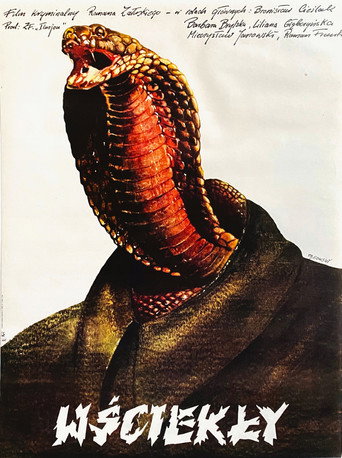 Wściekły movie poster