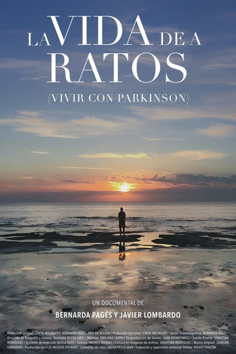 La vida de a ratos movie poster