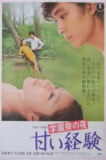 School Festival Night: A Sweet Experience movie poster