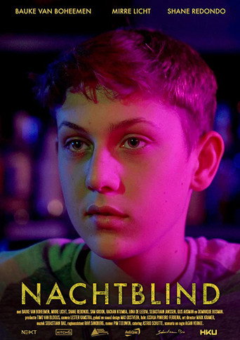 Nachtblind movie poster