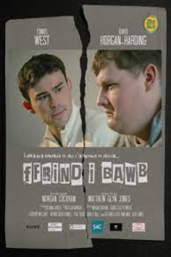 Ffrind i Bawb movie poster