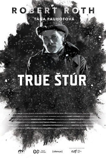 True Štúr movie poster