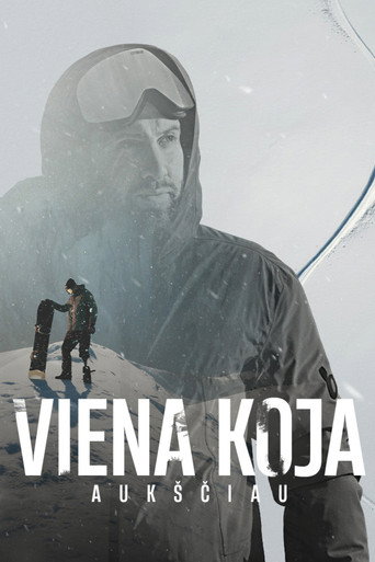Viena koja aukščiau movie poster