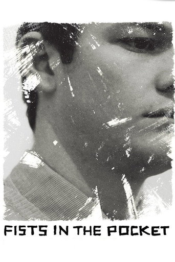 Fists in the Pocket movie poster