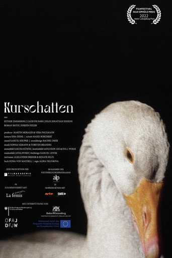 Kurschatten movie poster