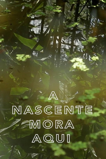 A Nascente Mora Aqui movie poster