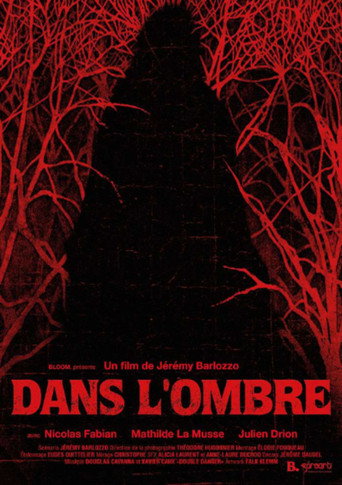 Dans l’ombre movie poster