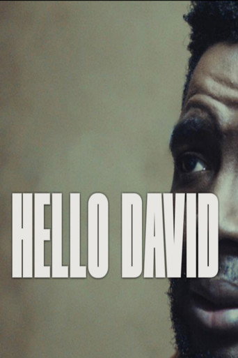 Hello David movie poster